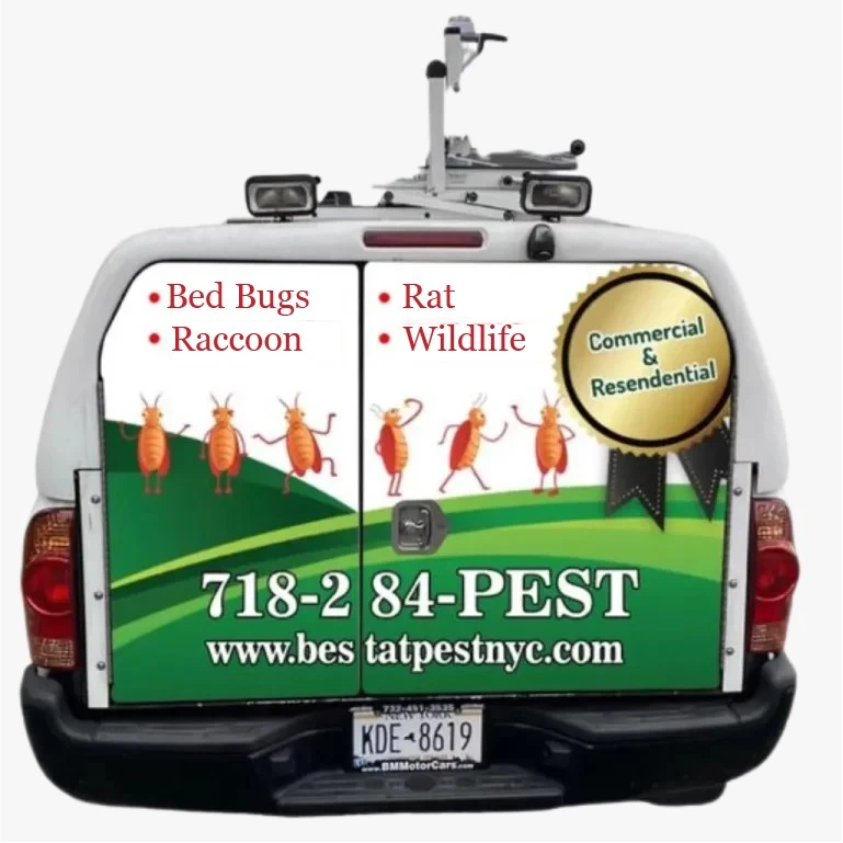 best pest van