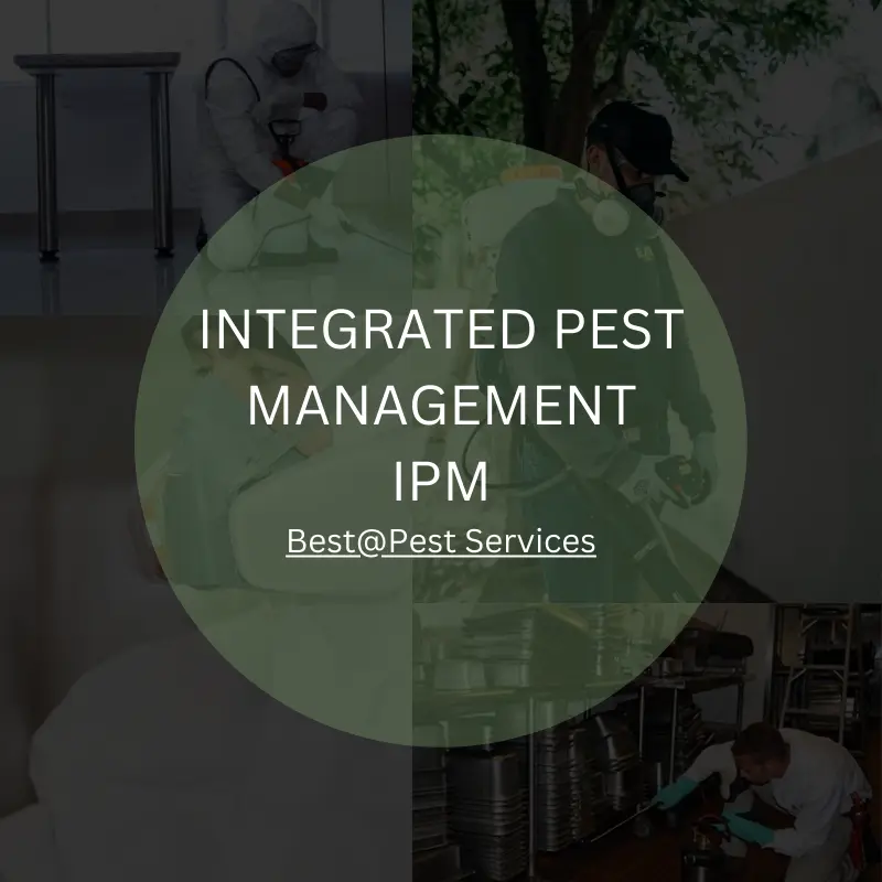 Tick Control - Integrated Pest Management