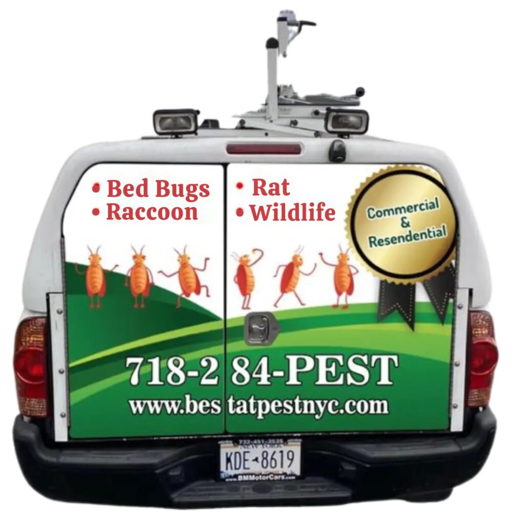 best pest van