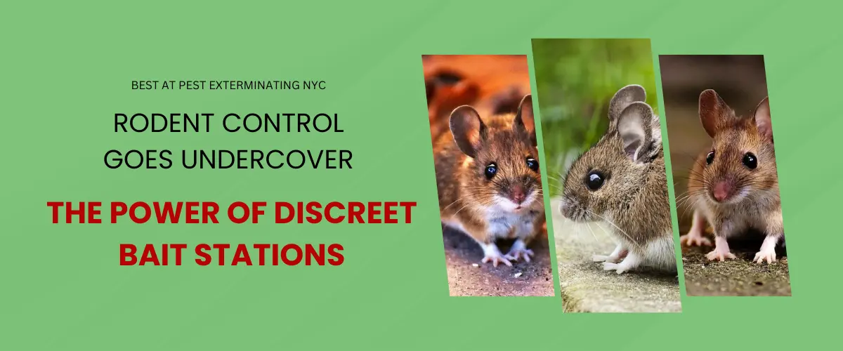 Rodent Control Bait Stations