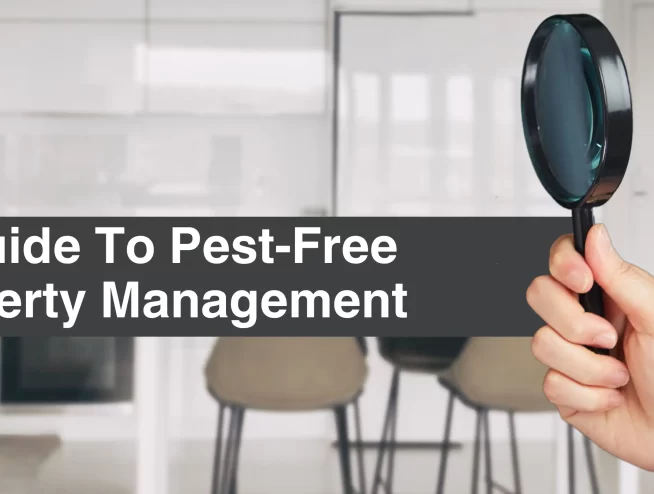 A guide to pest free property management