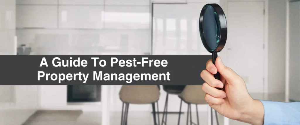A guide to pest free property management