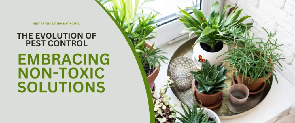 The Evolution of Pest Control Embracing Non-Toxic Solutions (1)