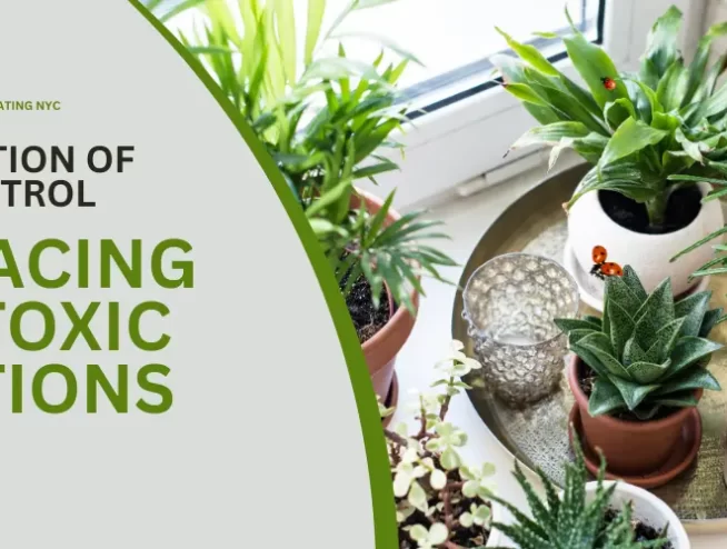 The Evolution of Pest Control Embracing Non-Toxic Solutions (1)