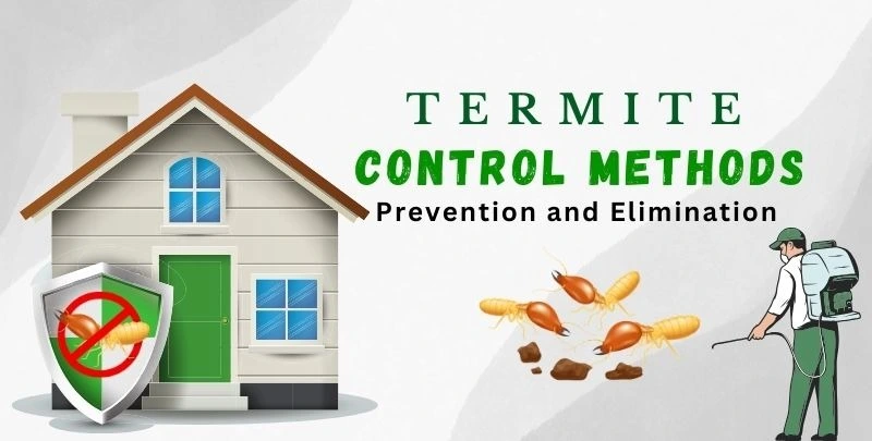 termite control methods