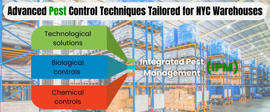 Advanced Pest Control Techniques Tailored for NYC Warehouses