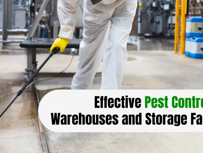 Effective Pest Control for Warehouses and Storage Facilities in NYC