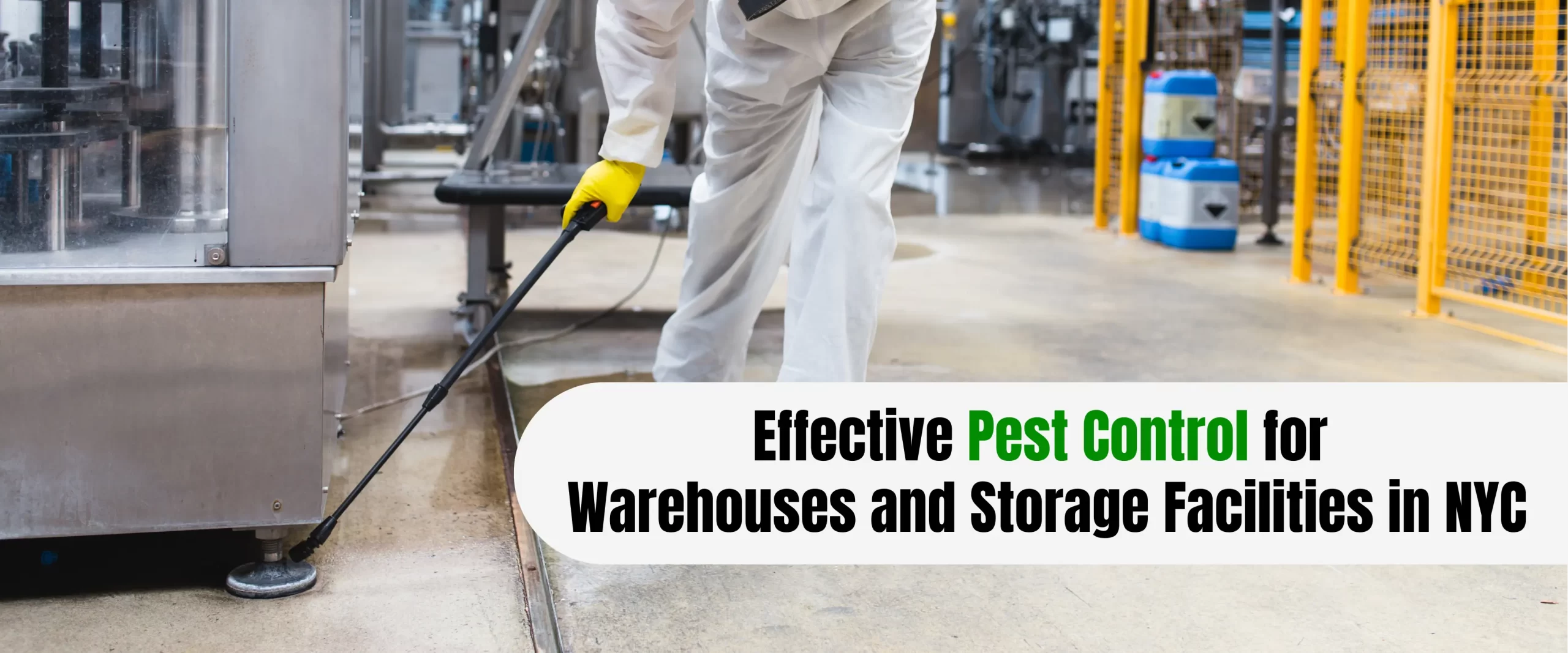 Effective Pest Control for Warehouses and Storage Facilities in NYC