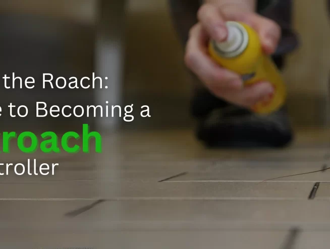 Guide to become a cockroach controller
