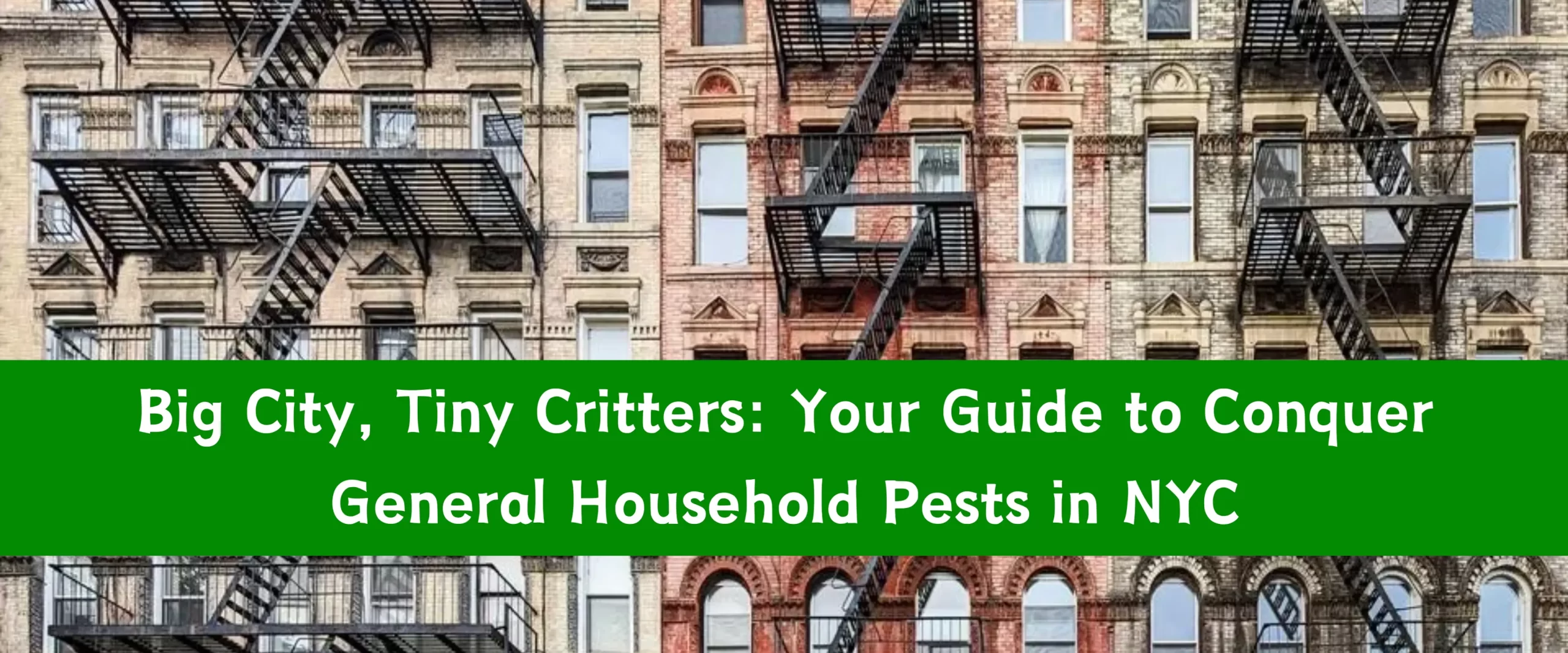 Household pests in NYC