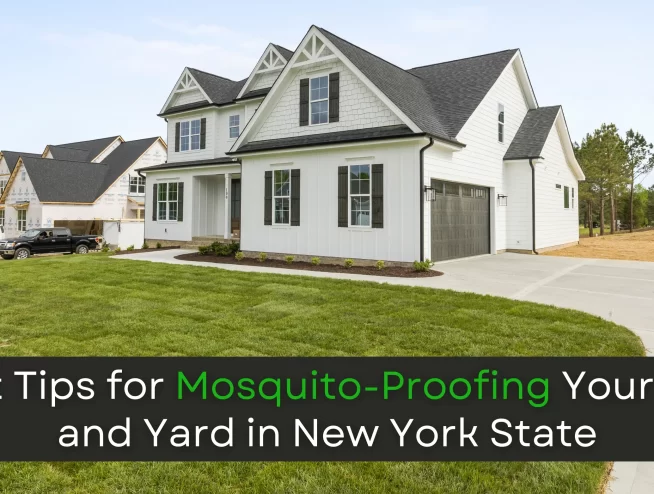 Mosquito-Proofing Your Home and Yard