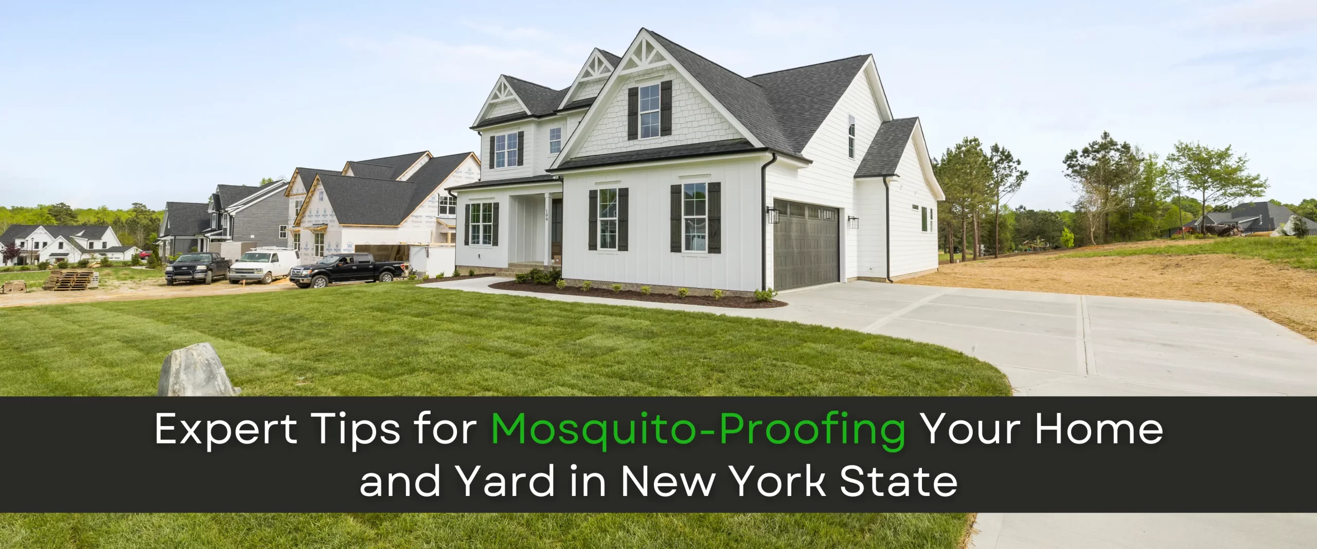 Mosquito-Proofing Your Home and Yard