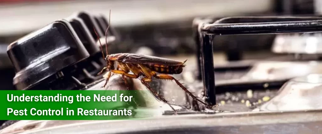 Need of Pest Control in Restaurants