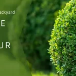 Prevention from Backyard Insects