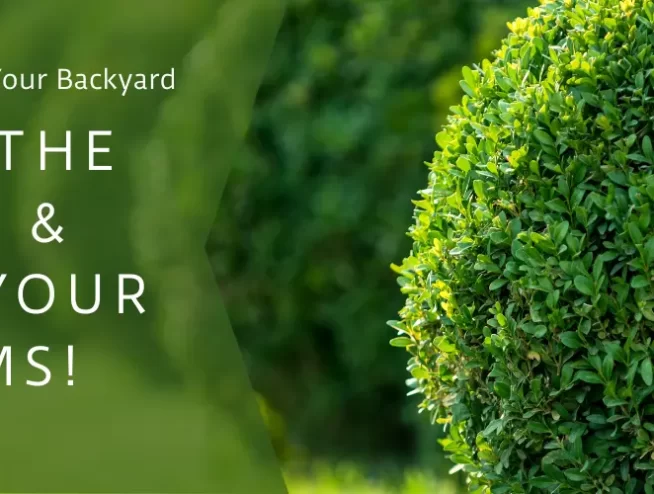 Prevention from Backyard Insects