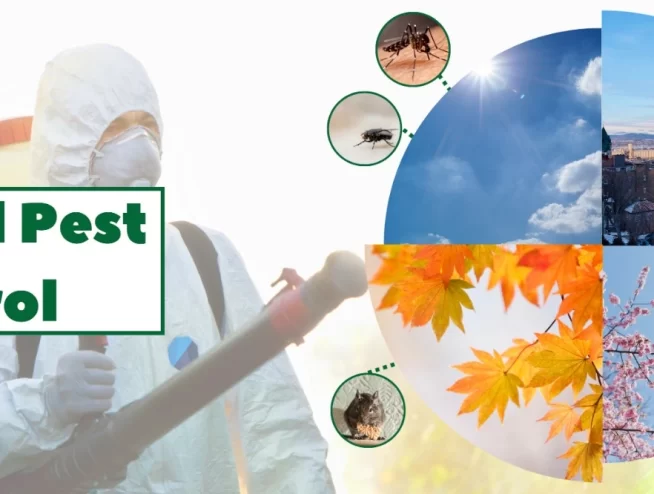 Seasonal Pest Control