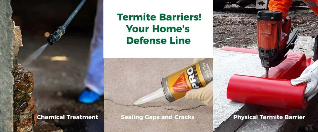 Termite Barriers