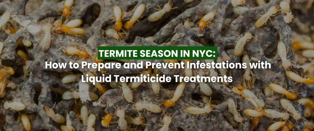 Termicide treatment