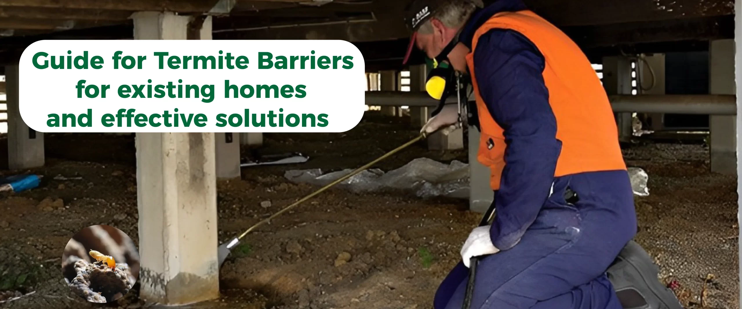 Termite barriers and effective solution