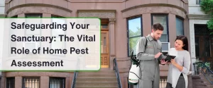 The Vital Role of Home Pest Assessment