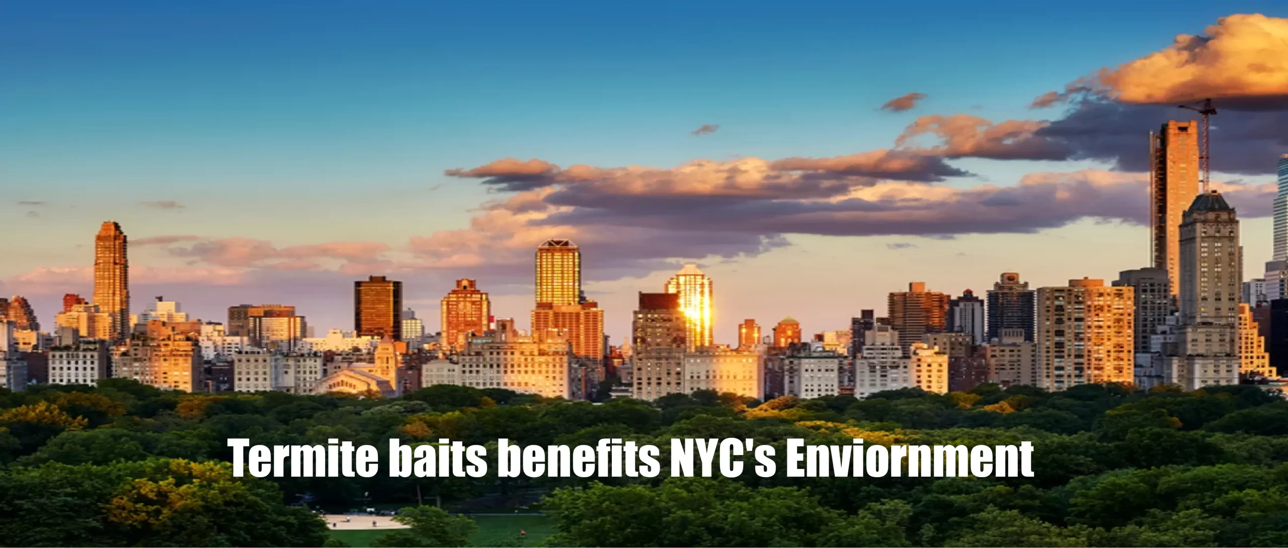 termite baits NYC Benefits
