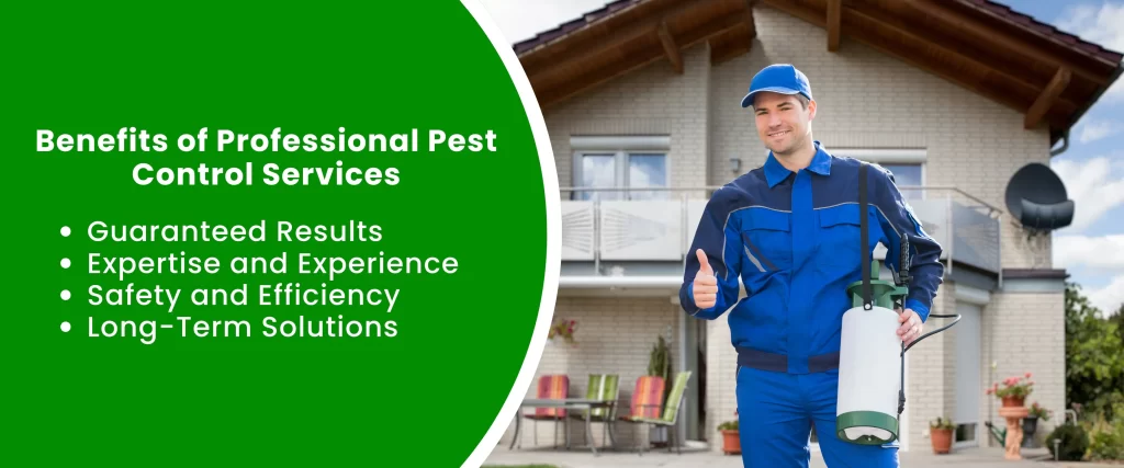 Benefits of Professional Pest Control Services