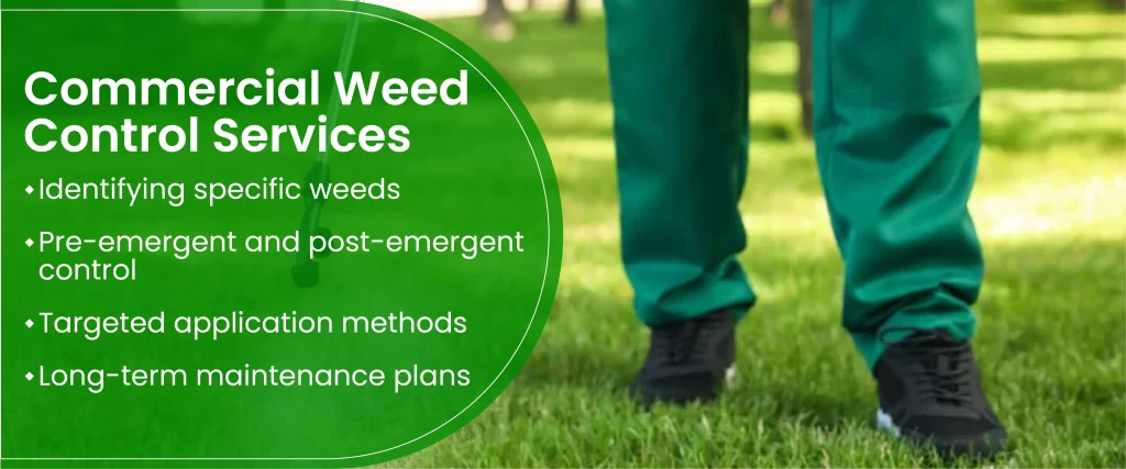 Commercial Weed Control Services