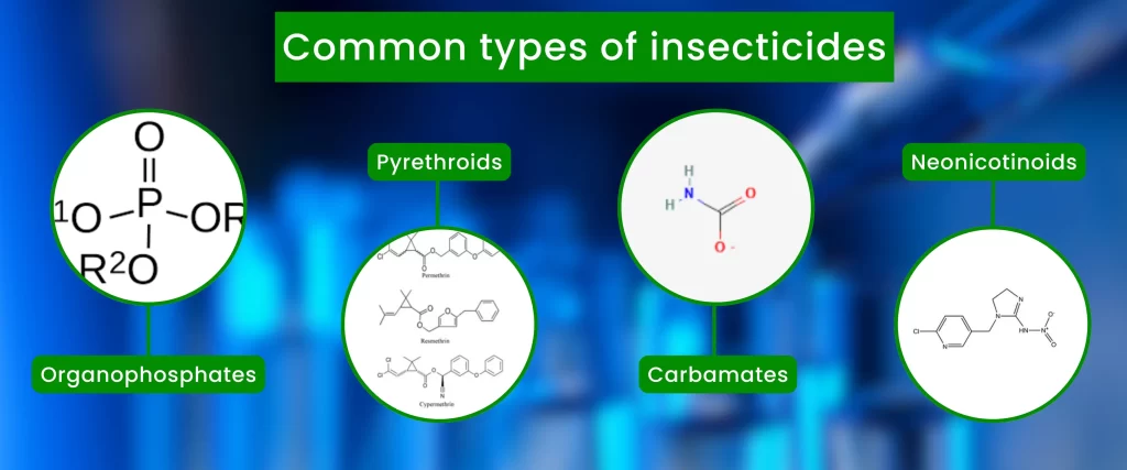 Common types of insecticides