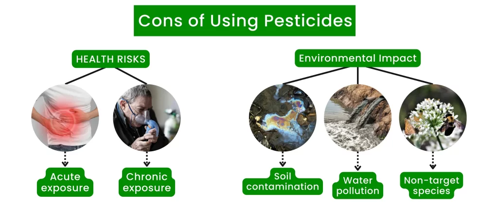 Cons of Using Pesticides