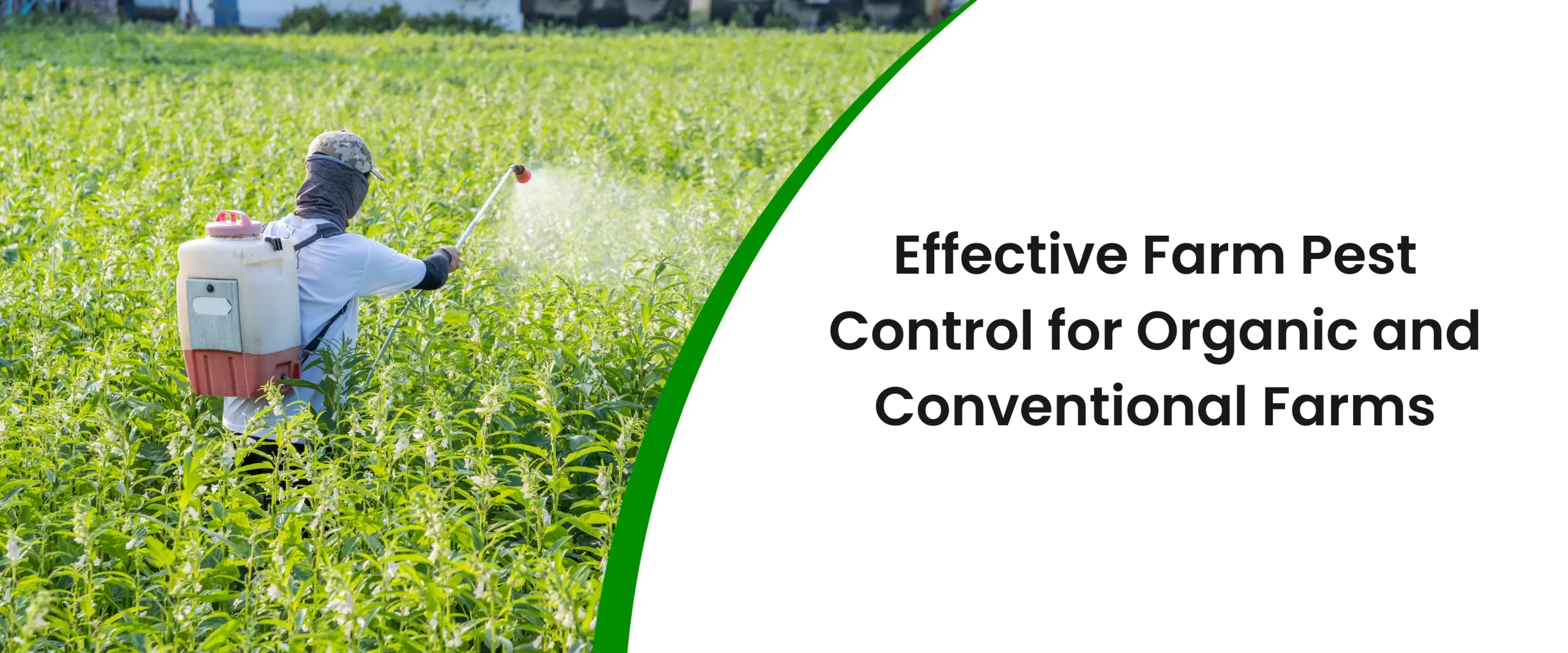 Effective Farm Pest Control