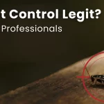 Is DIY Pest Control Legit