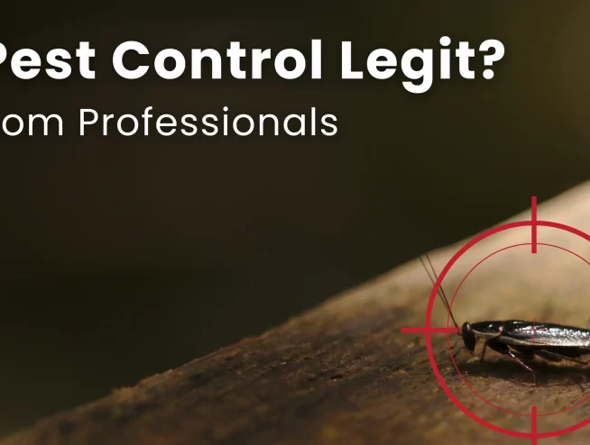Is DIY Pest Control Legit