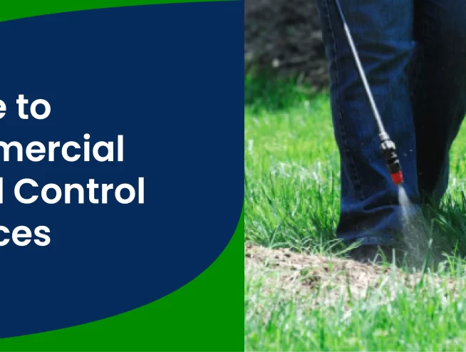 Guide to Commercial Weed Control Services