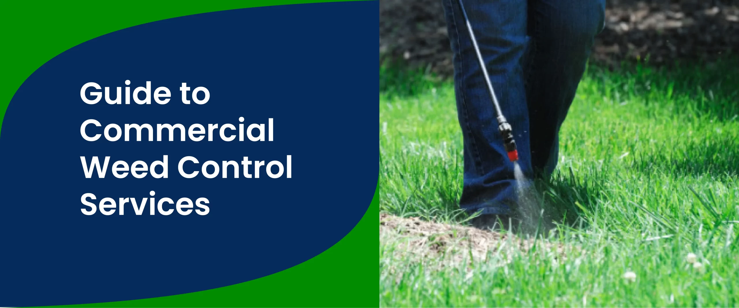 Guide to Commercial Weed Control Services