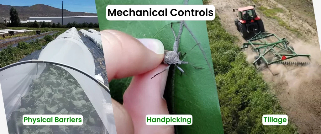 Mechanical pest Controls