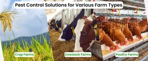 Pest Control Solutions for Various Farm Types