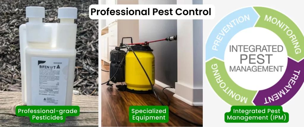 Professional Pest Control