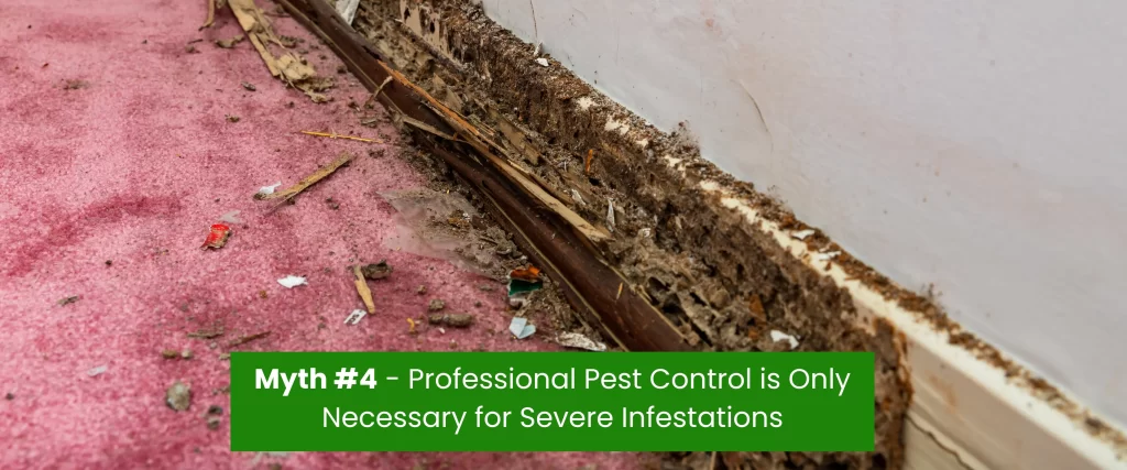 Professional Pest Control for severe infestation