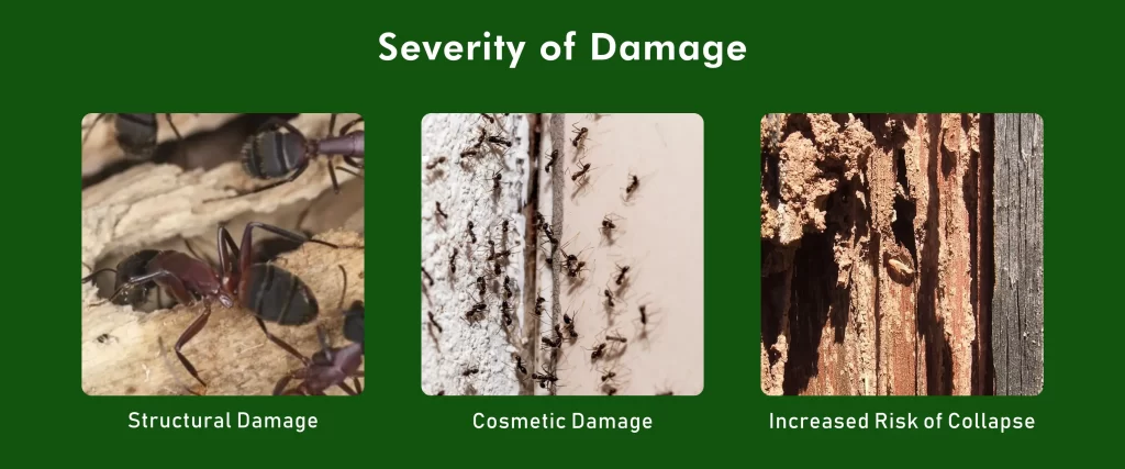 Severity of Damage