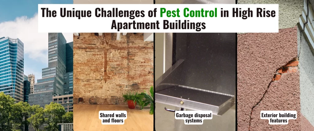 The Unique Challenges of Pest Control in High Rise Apartment Buildings