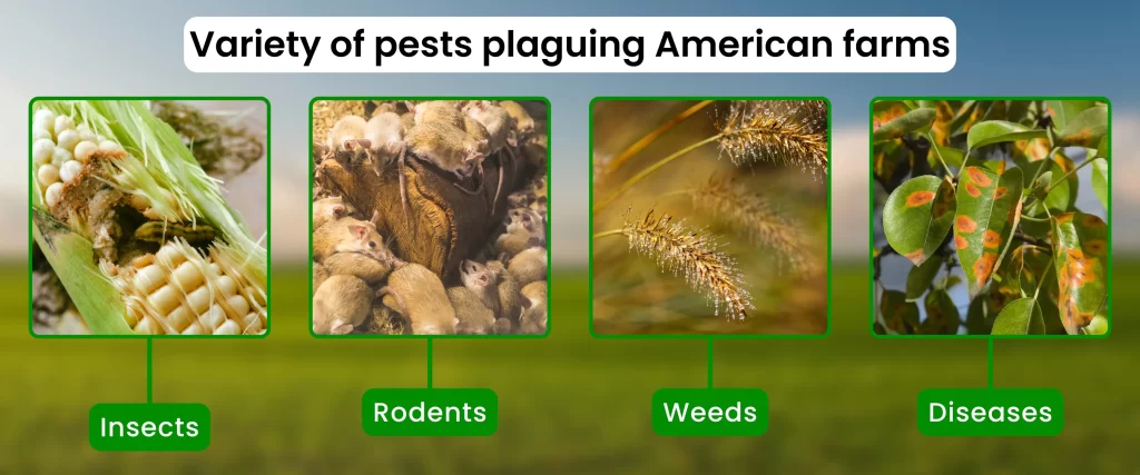 Common forms of pests American farms