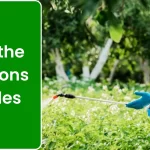 Weighing the Pros and Cons of Pesticides