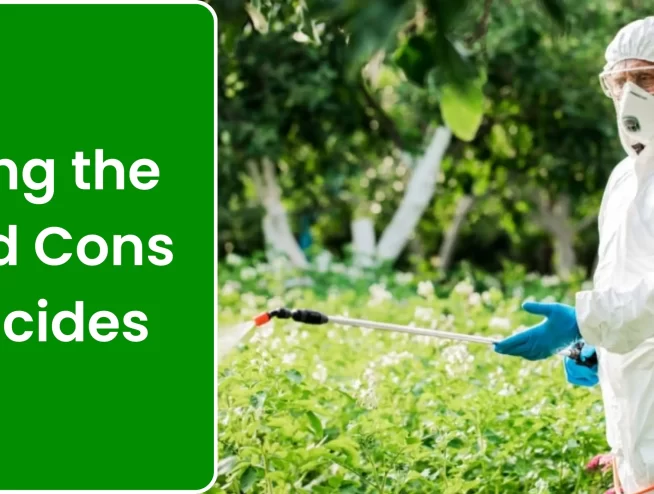 Weighing the Pros and Cons of Pesticides