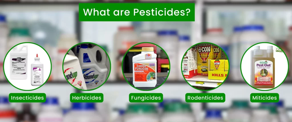 What are Pesticides