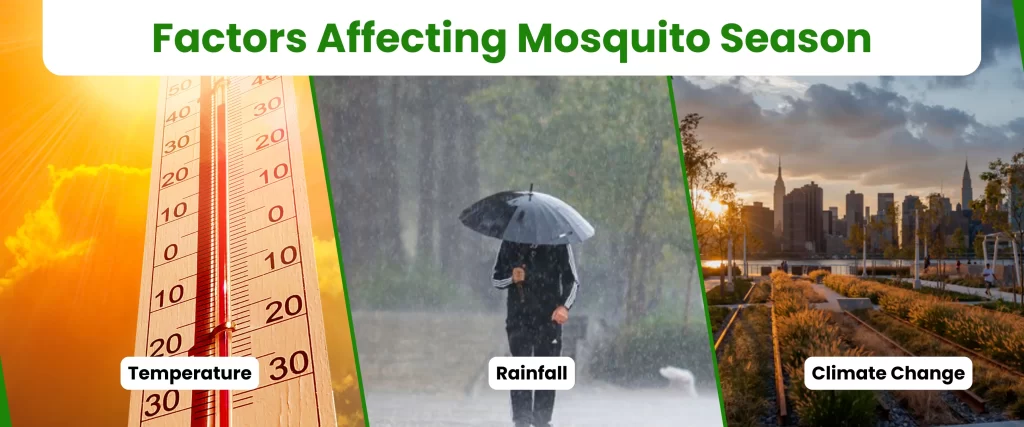 Factors Affecting Mosquito Season