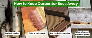 How to Keep Carpenter Bees Away