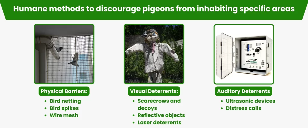 Humane methods to discourage pigeons from inhabiting specific areas