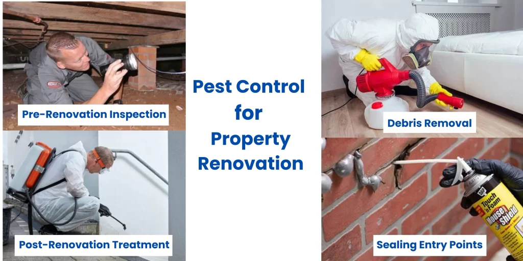 Pest Control for Property Renovation