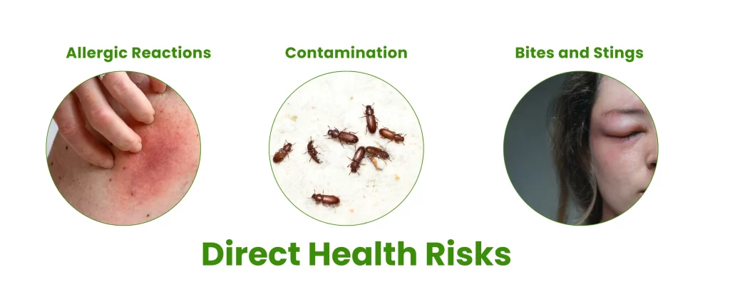 Pest DIrect Health Risks