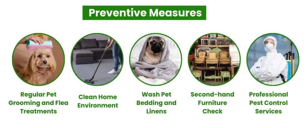 Preventive Measures against fleas